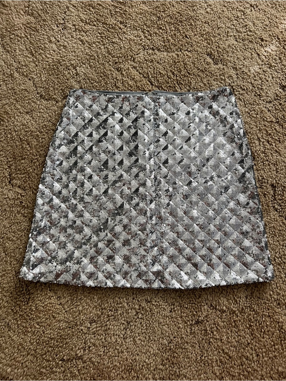 Silver Sequin Skirt: S